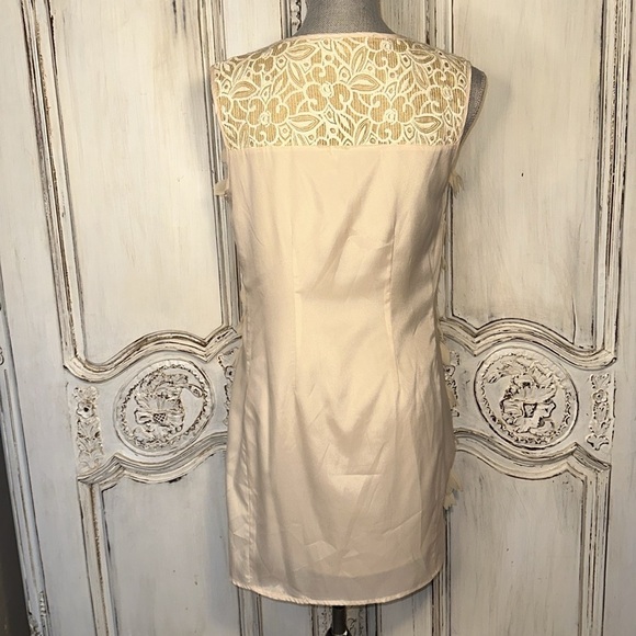 Champagne & Strawberry Sleeveless V Neck 3D Blush and Lace Statement Dress S/8P - Picture 8 of 14